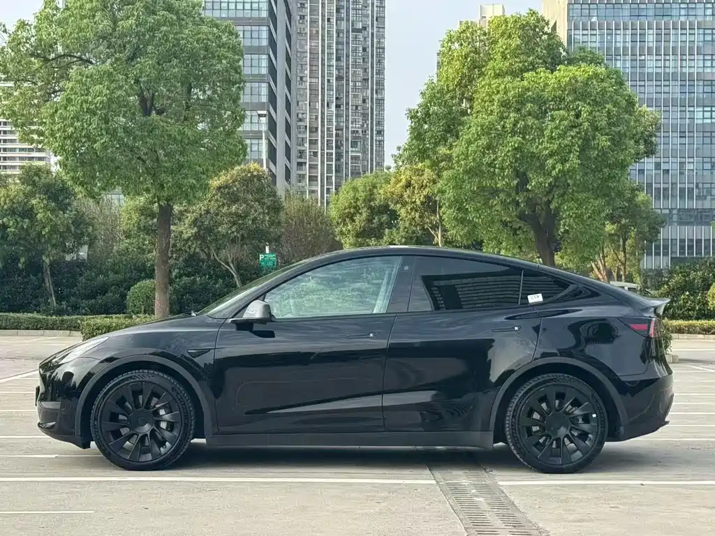 Tesla Model Y — фото 3