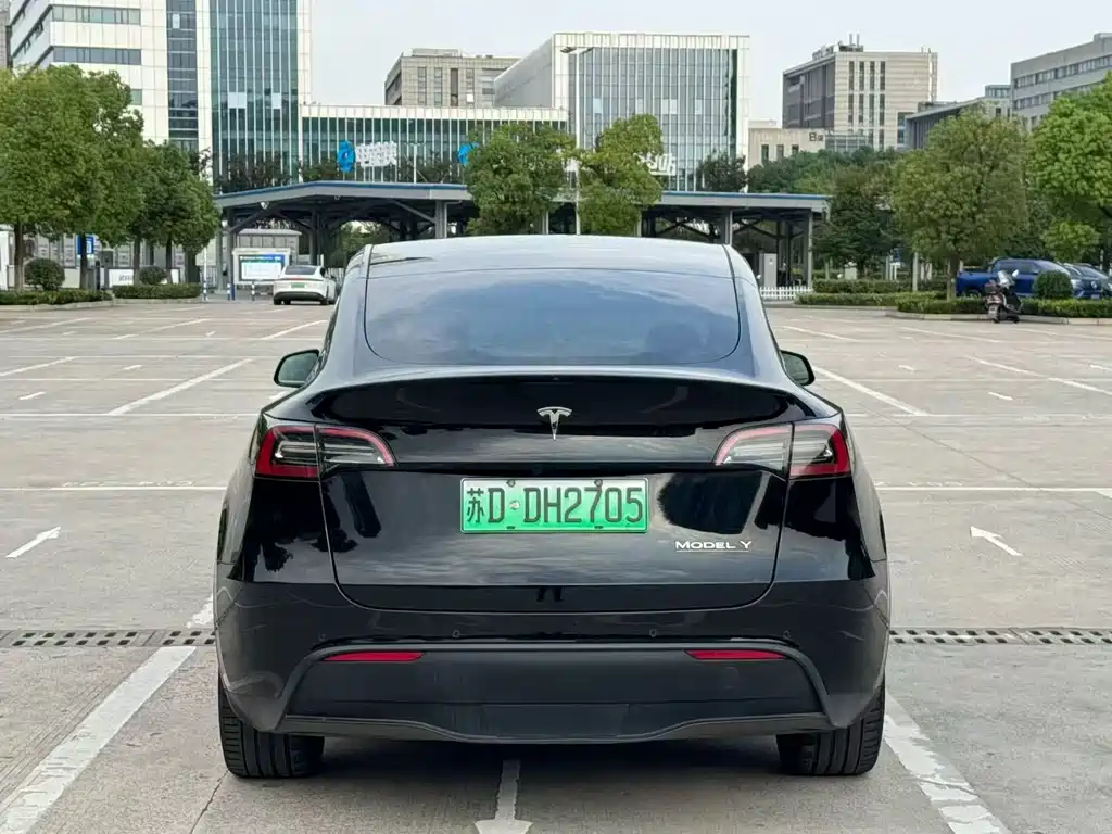 Tesla Model Y — фото 8