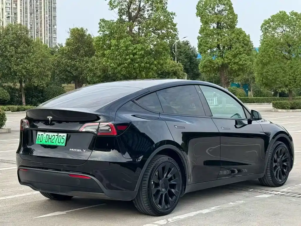 Tesla Model Y — фото 9