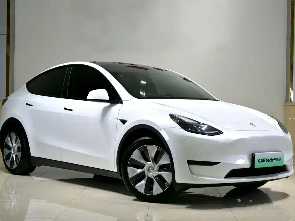 Tesla Model Y — фото 3
