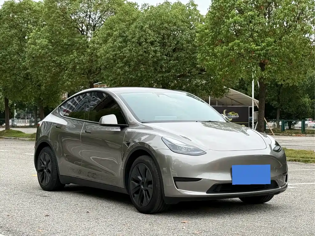 Tesla Model Y — фото 3