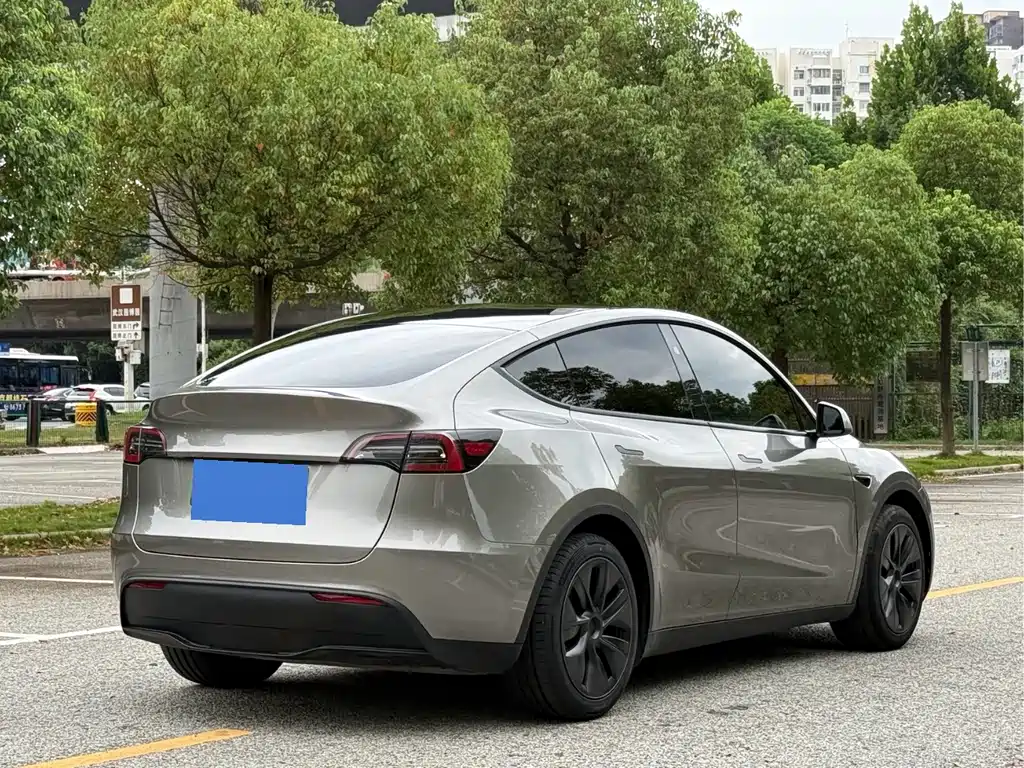 Tesla Model Y — фото 4