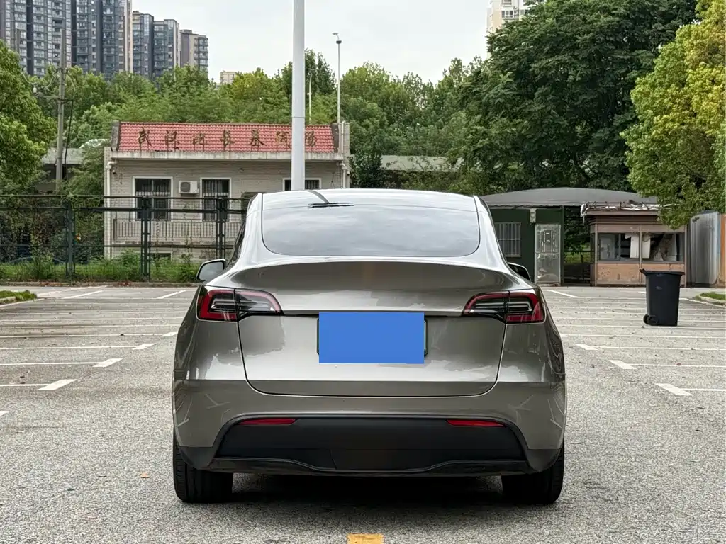 Tesla Model Y — фото 5