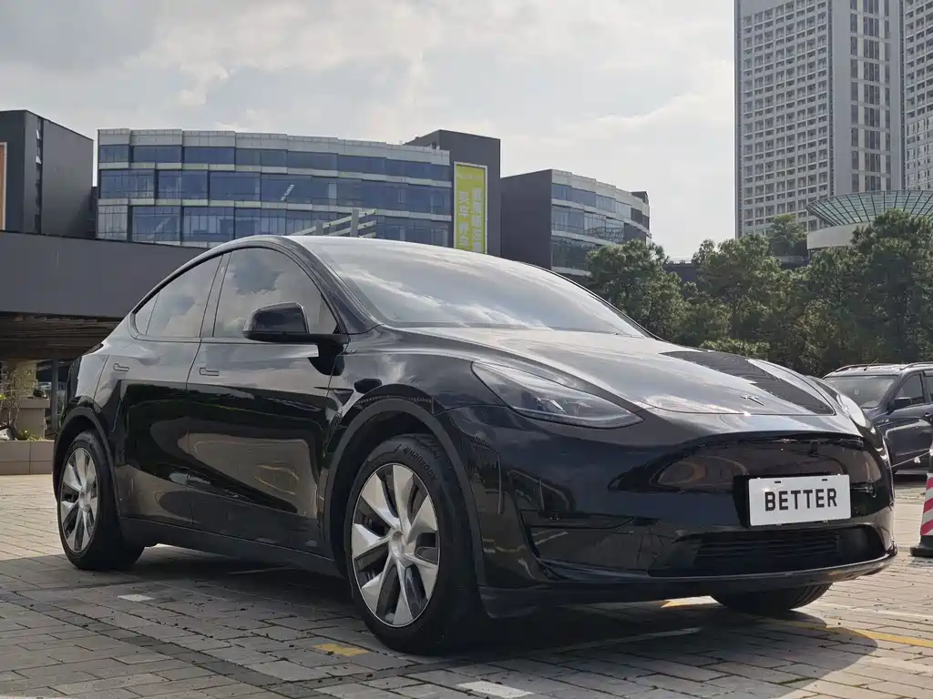 Tesla Model Y — фото 3
