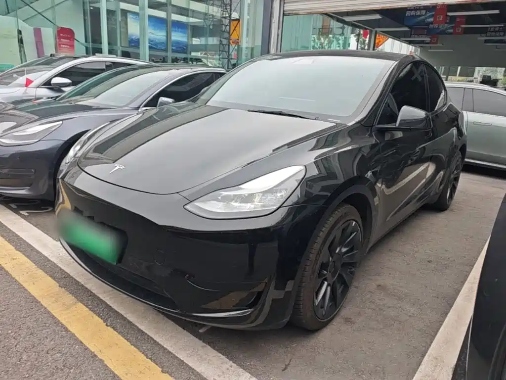 Tesla Model Y — фото 2
