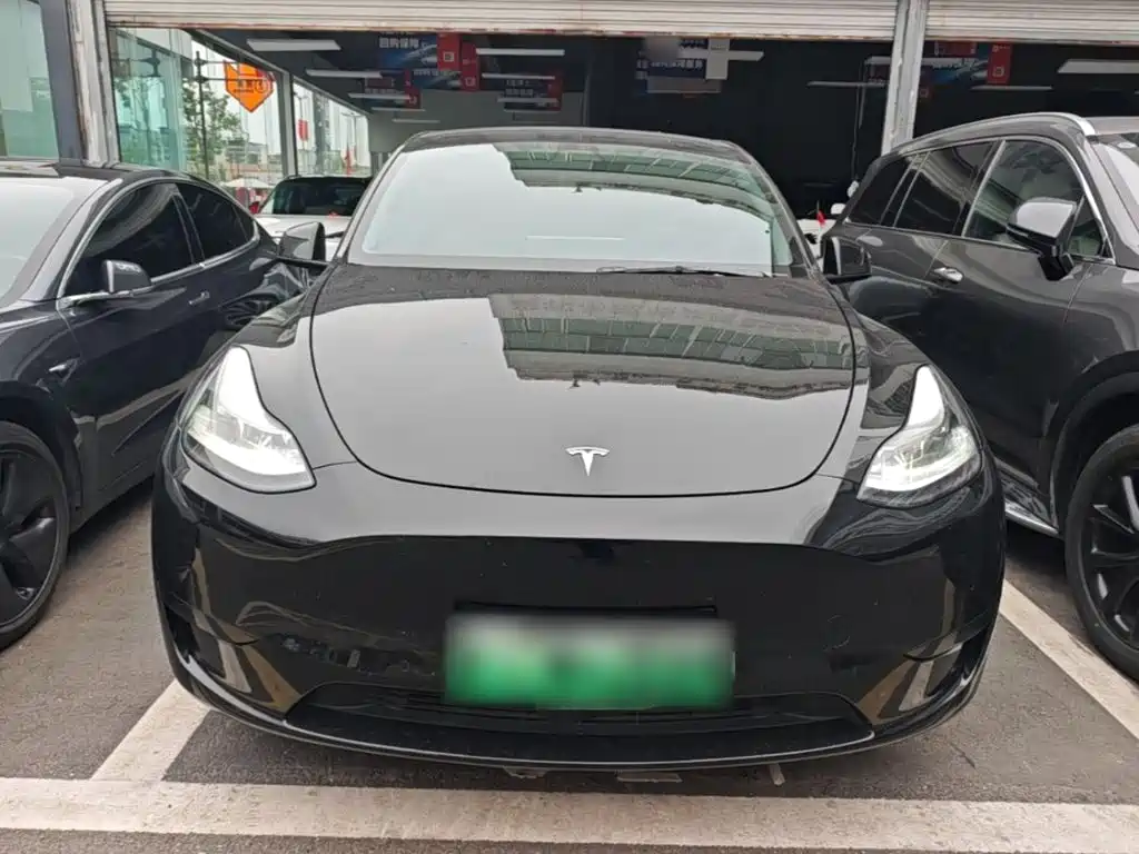 Tesla Model Y — фото 3