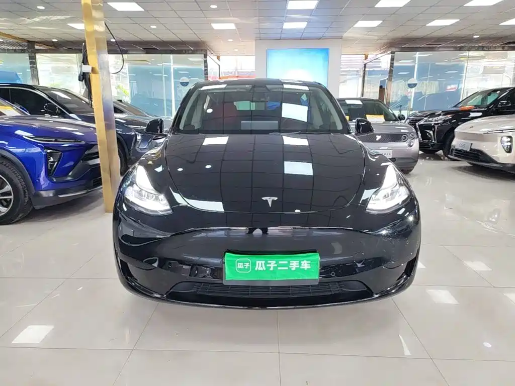 Tesla Model Y — фото 3