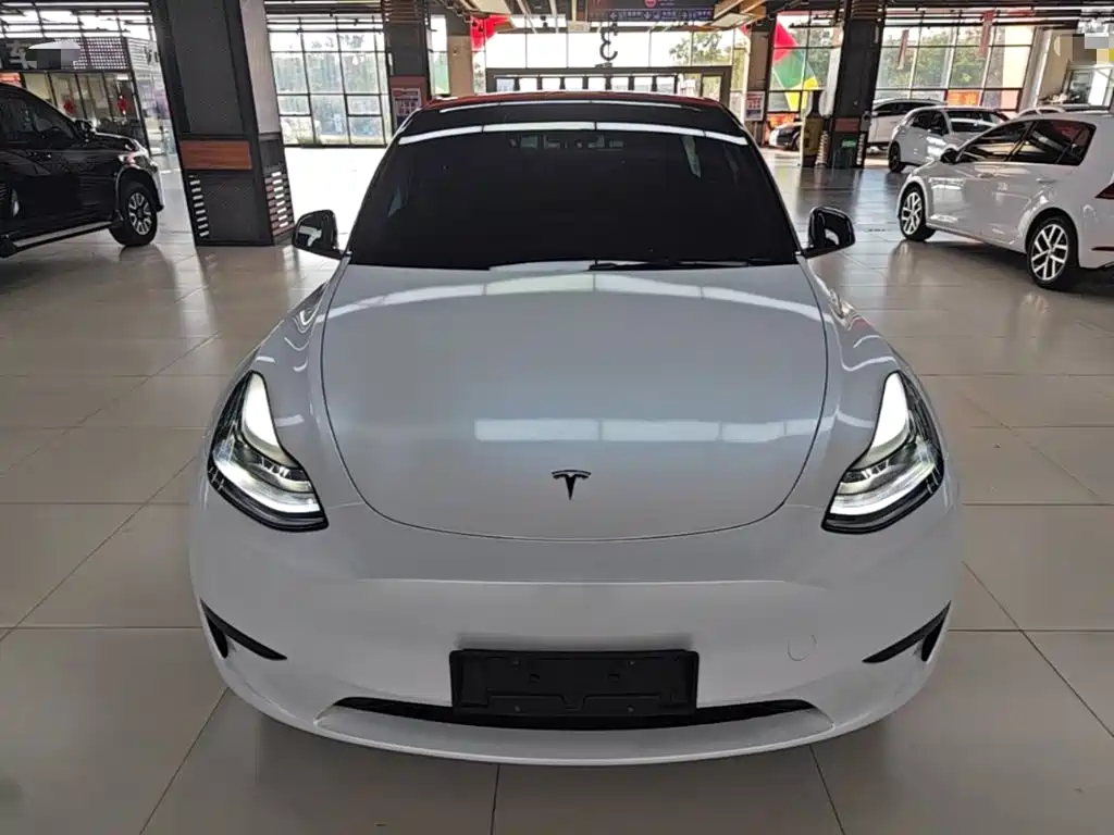 Tesla Model Y — фото 3