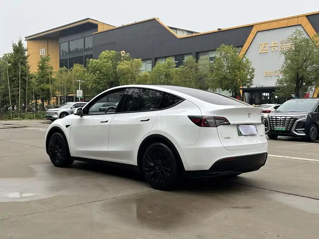 Tesla Model Y — фото 3