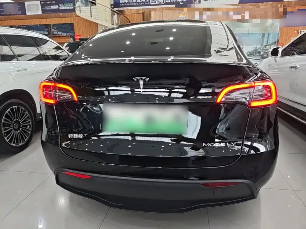 Tesla Model Y — фото 6