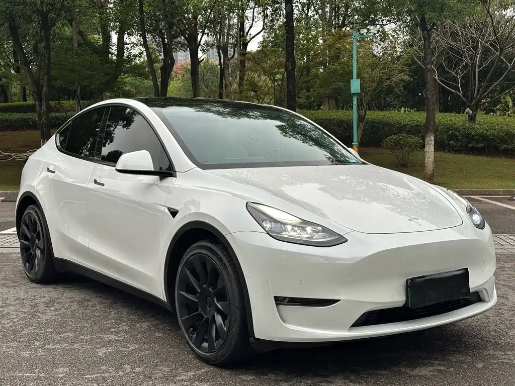 Tesla Model Y — фото 3