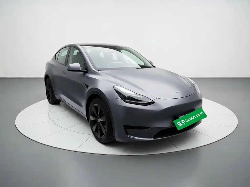 Tesla Model Y — фото 3