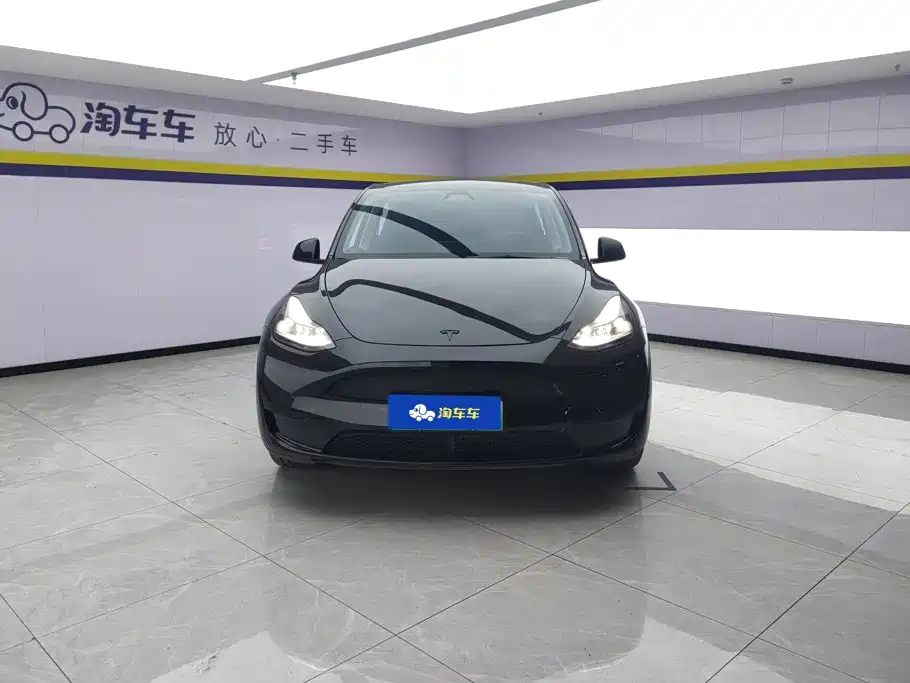 Tesla Model Y — фото 2