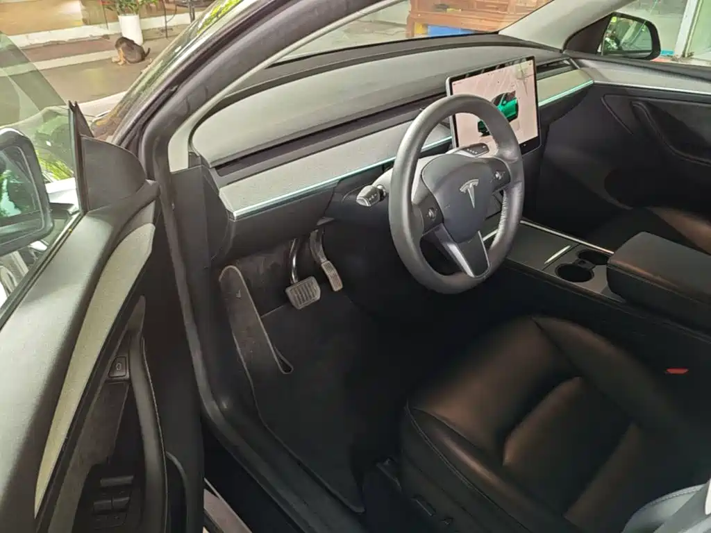 Tesla Model Y — фото 16