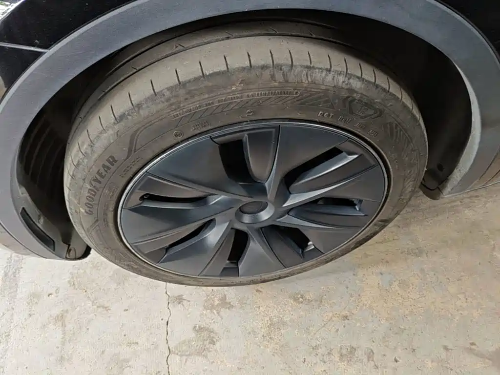 Tesla Model Y — фото 23