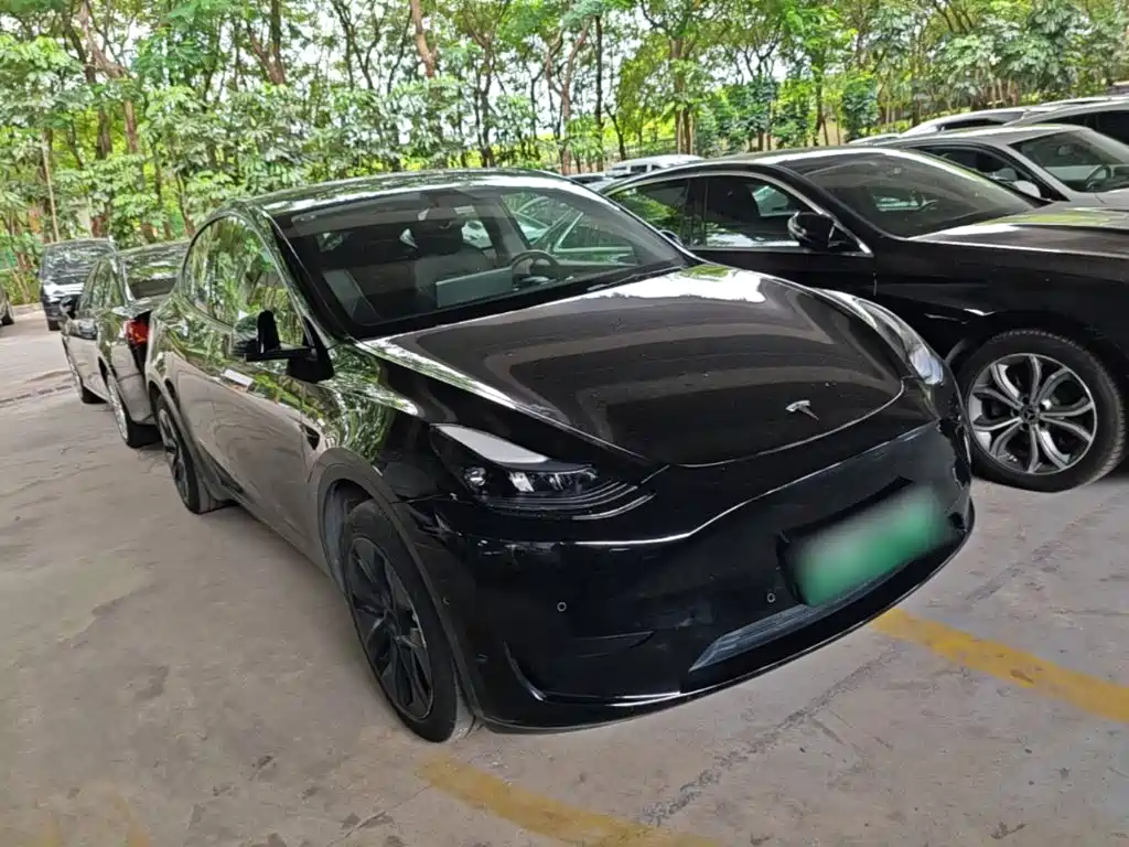 Tesla Model Y — фото 4