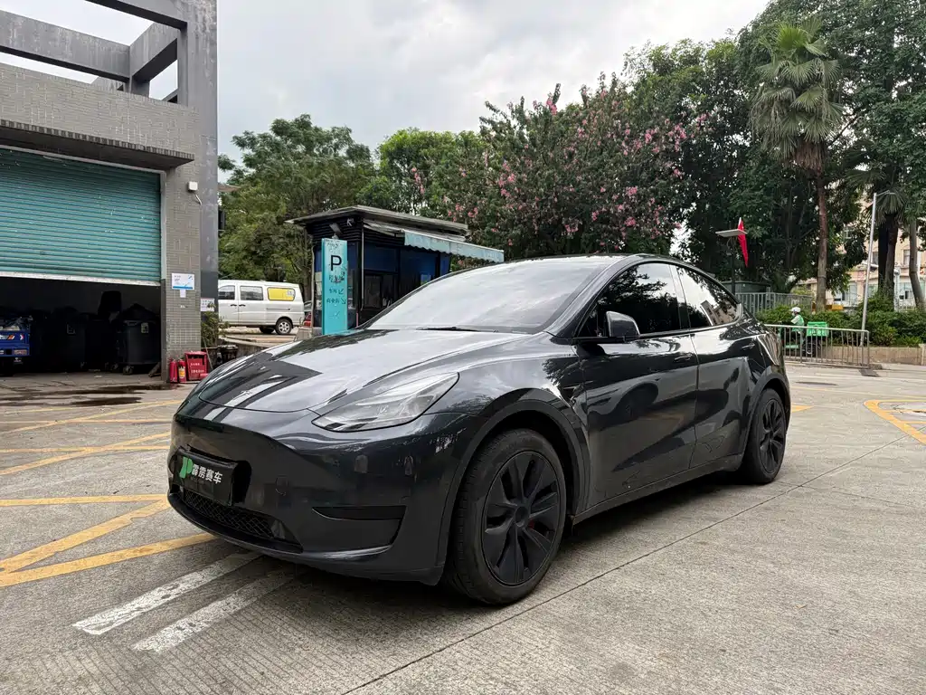 Tesla Model Y — фото 3