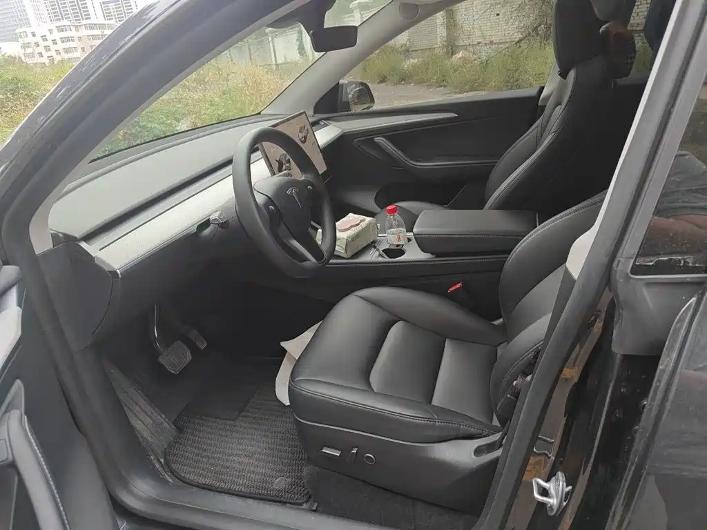 Tesla Model Y — фото 11