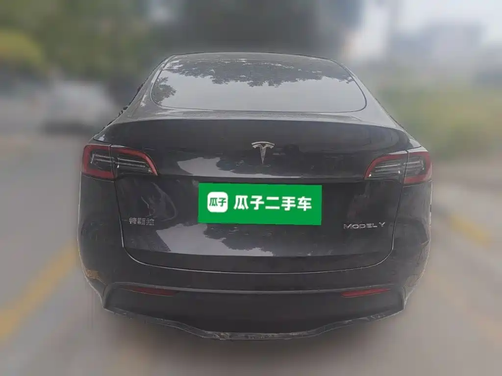 Tesla Model Y — фото 3