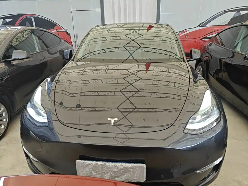 Tesla Model Y — фото 3