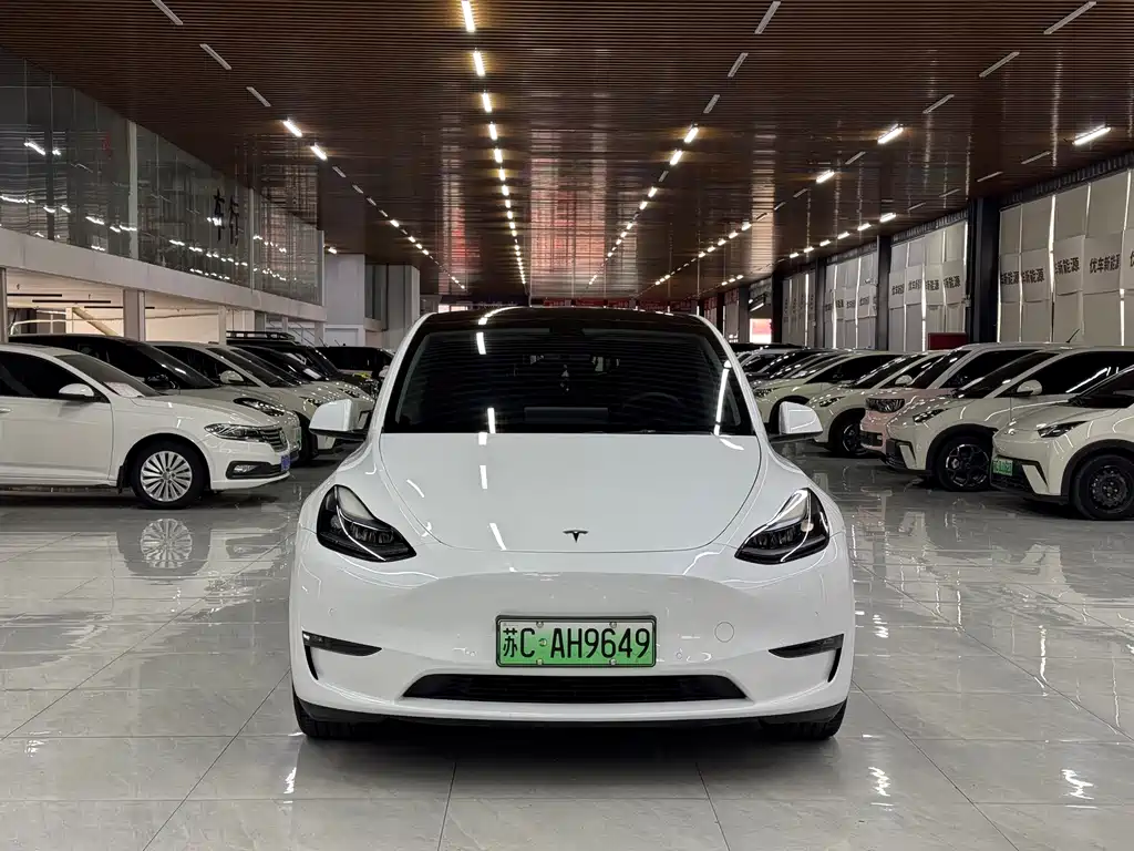 Tesla Model Y — фото 2