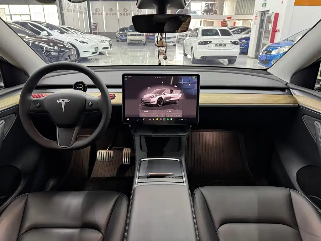 Tesla Model Y — фото 13