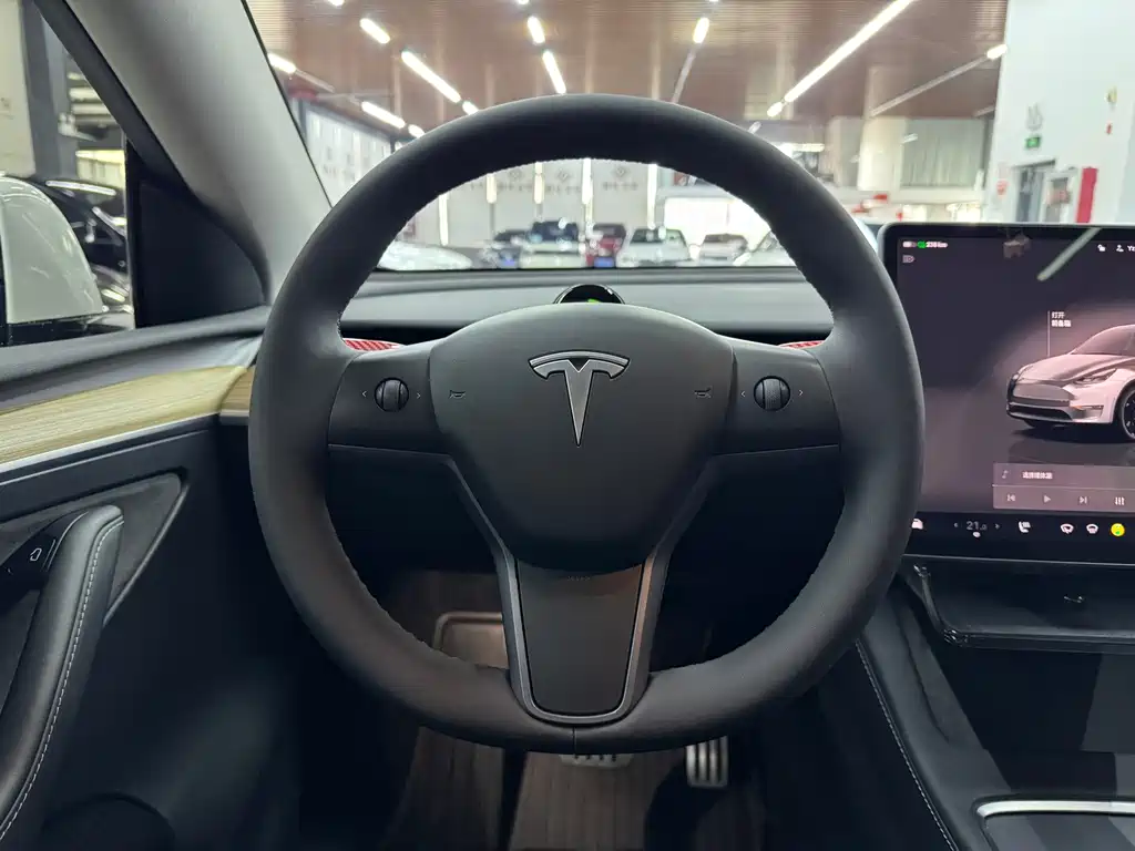 Tesla Model Y — фото 14