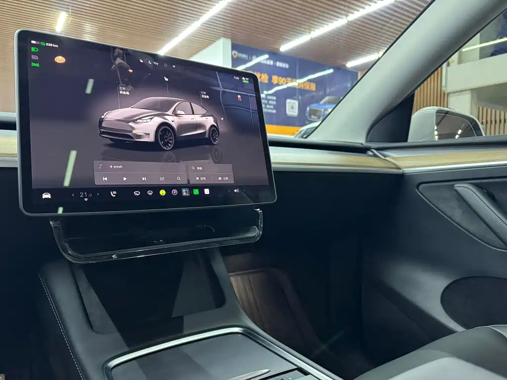 Tesla Model Y — фото 9