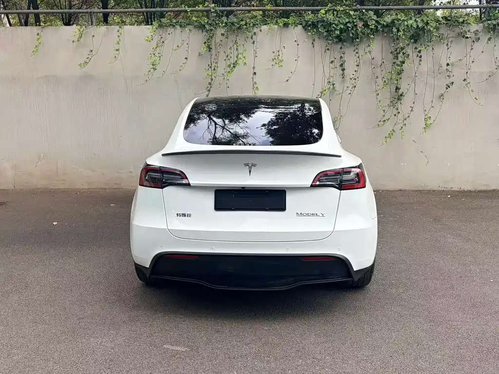 Tesla Model Y — фото 2