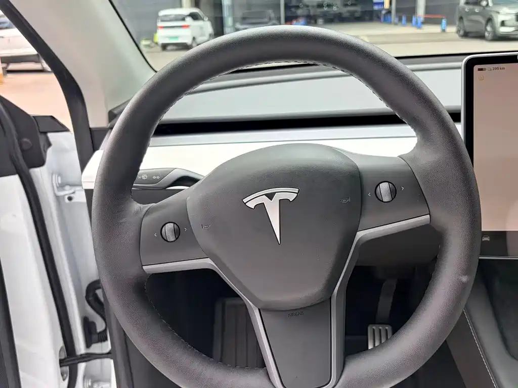 Tesla Model Y — фото 11