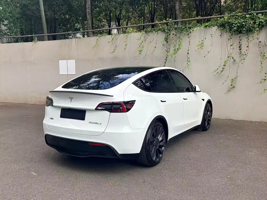 Tesla Model Y — фото 3