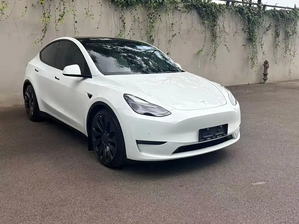Tesla Model Y — фото 4