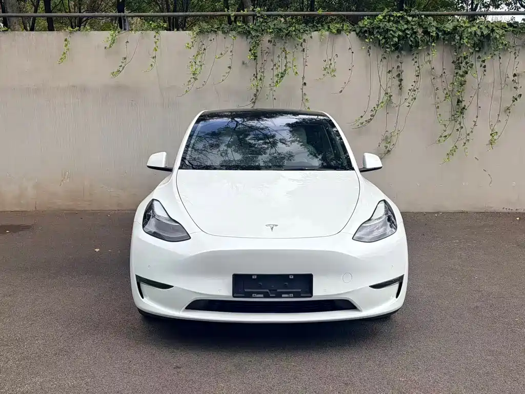 Tesla Model Y — фото 5