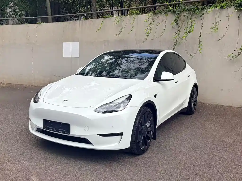 Tesla Model Y — фото 6