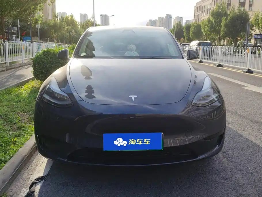 Tesla Model Y — фото 2