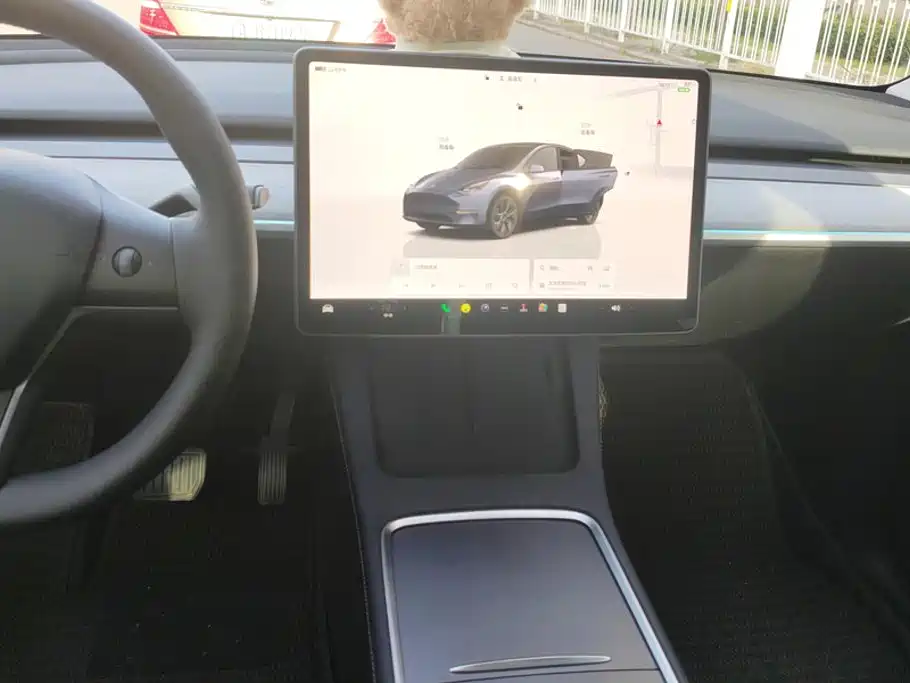 Tesla Model Y — фото 13