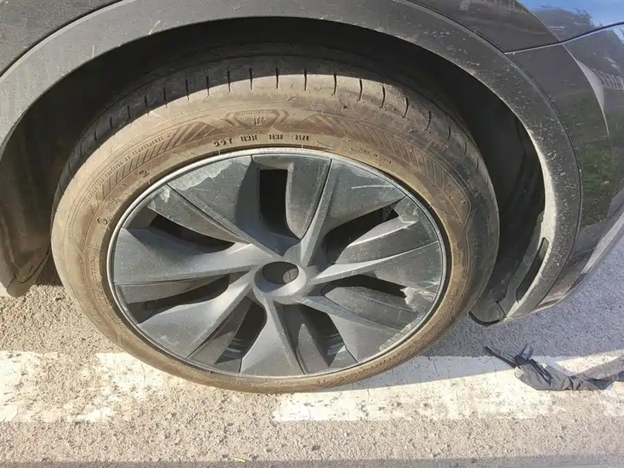 Tesla Model Y — фото 6