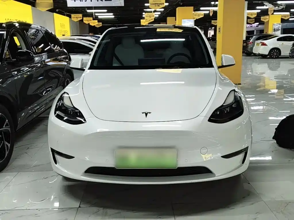 Tesla Model Y — фото 3