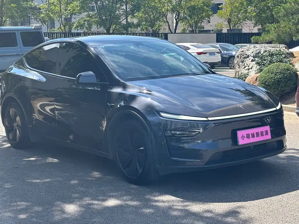 Tesla Model Y — фото 3