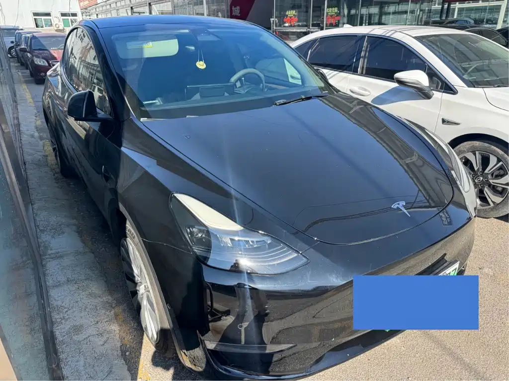 Tesla Model Y — фото 3