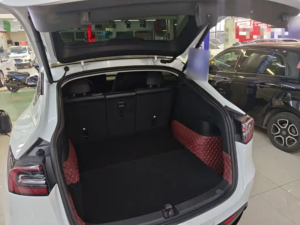 Tesla Model Y — фото 19