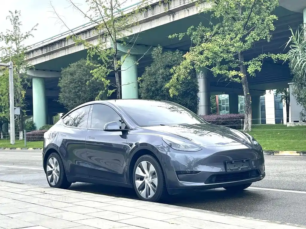 Tesla Model Y — фото 2