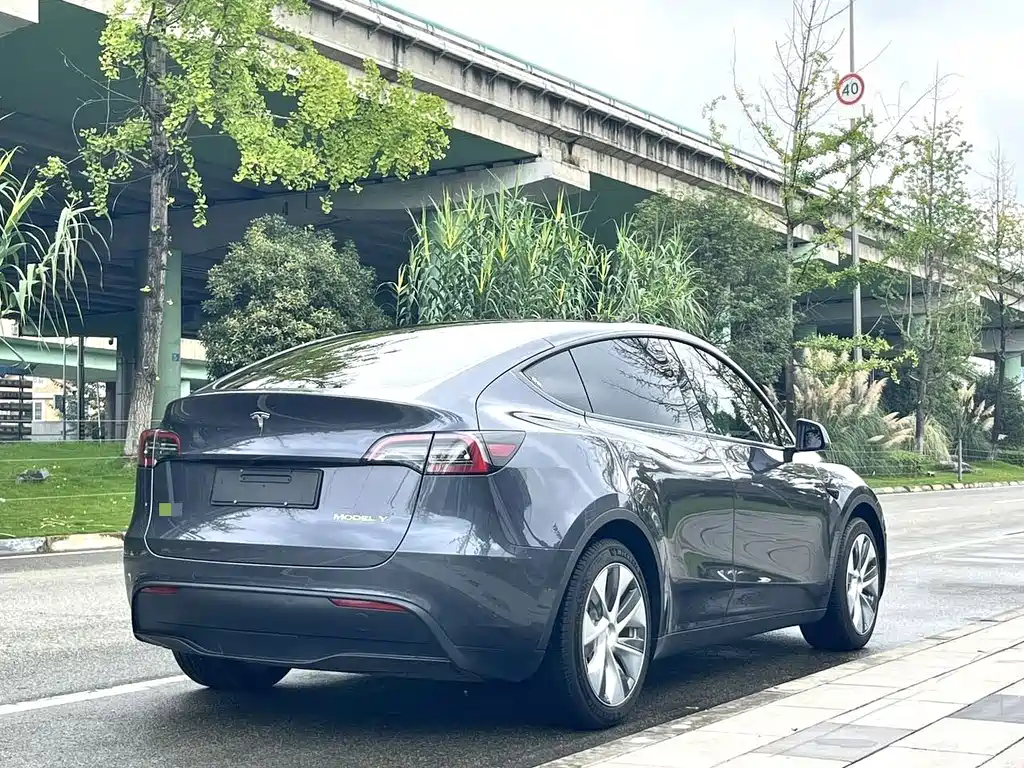 Tesla Model Y — фото 7