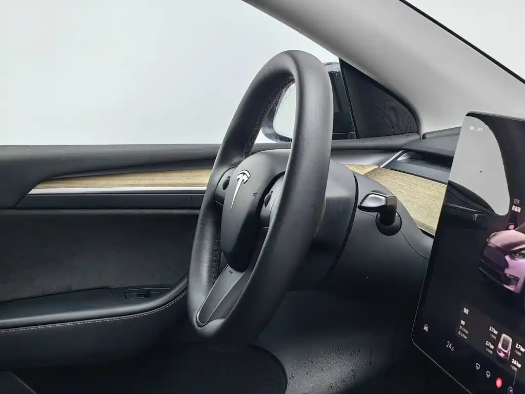 Tesla Model Y — фото 22