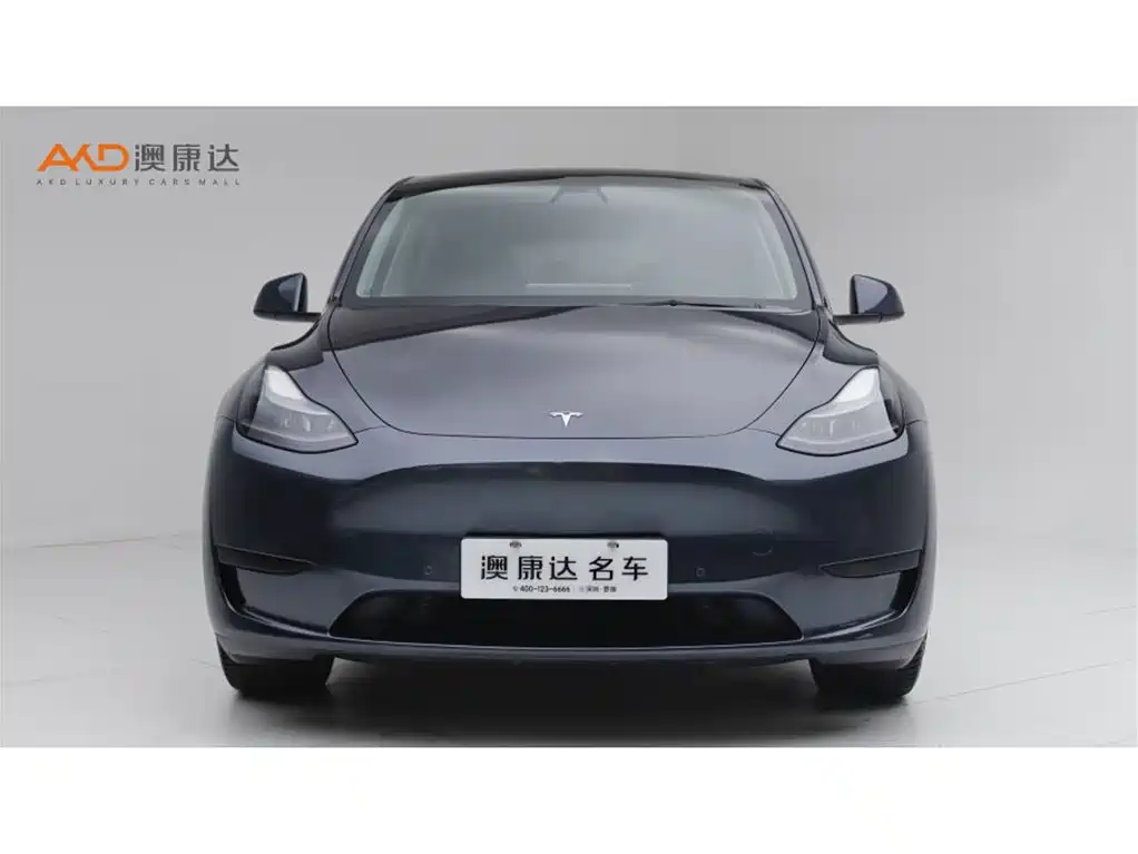 Tesla Model Y — фото 2