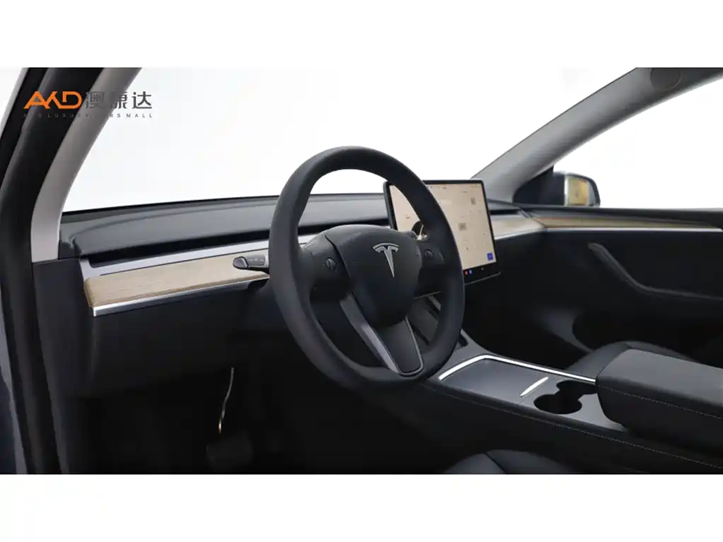 Tesla Model Y — фото 6
