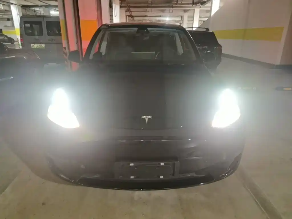 Tesla Model Y — фото 3