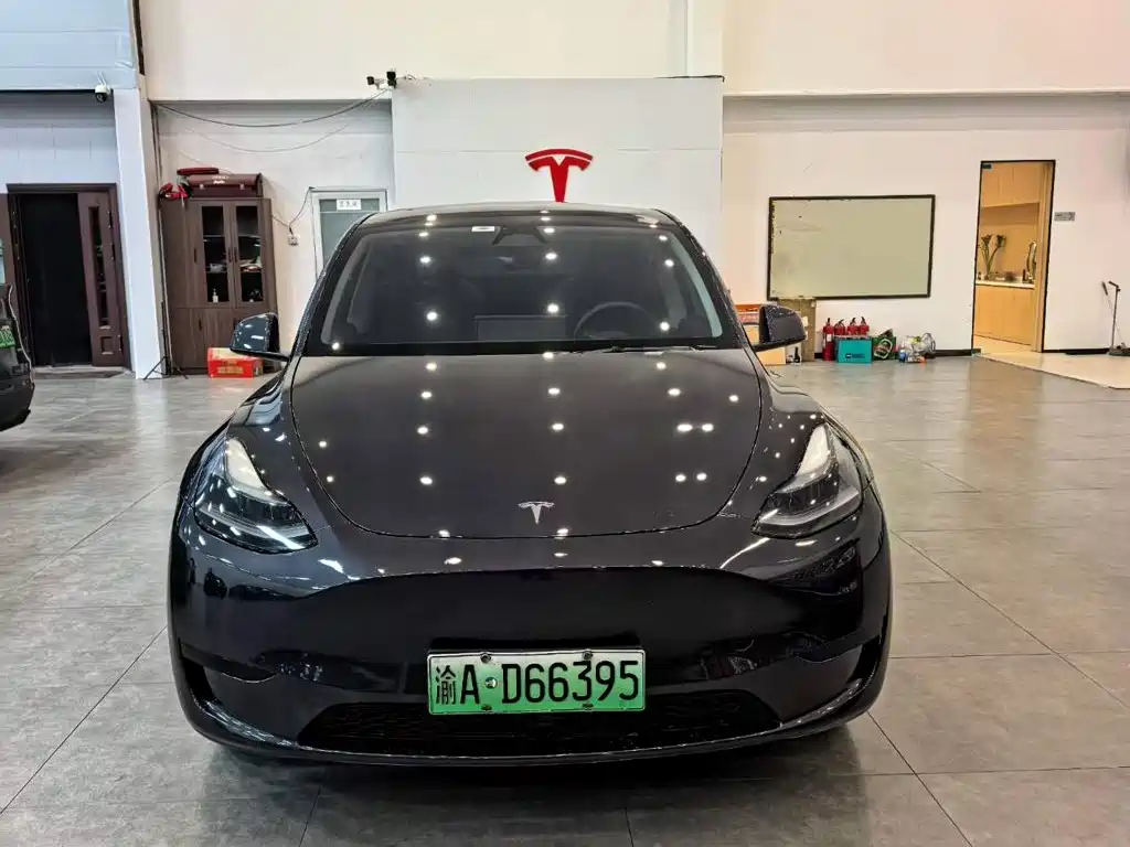 Tesla Model Y — фото 2