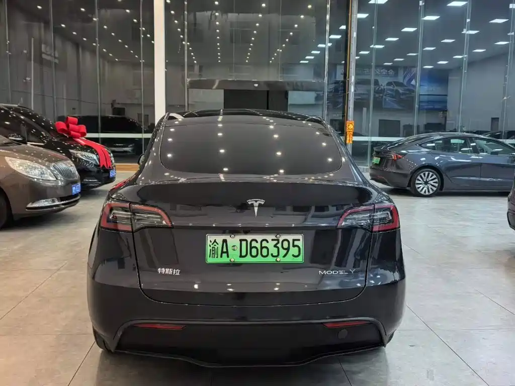 Tesla Model Y — фото 5
