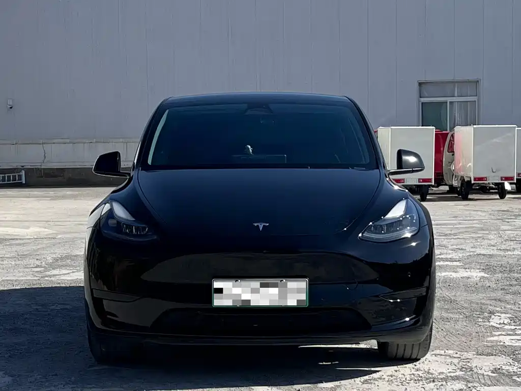 Tesla Model Y — фото 2